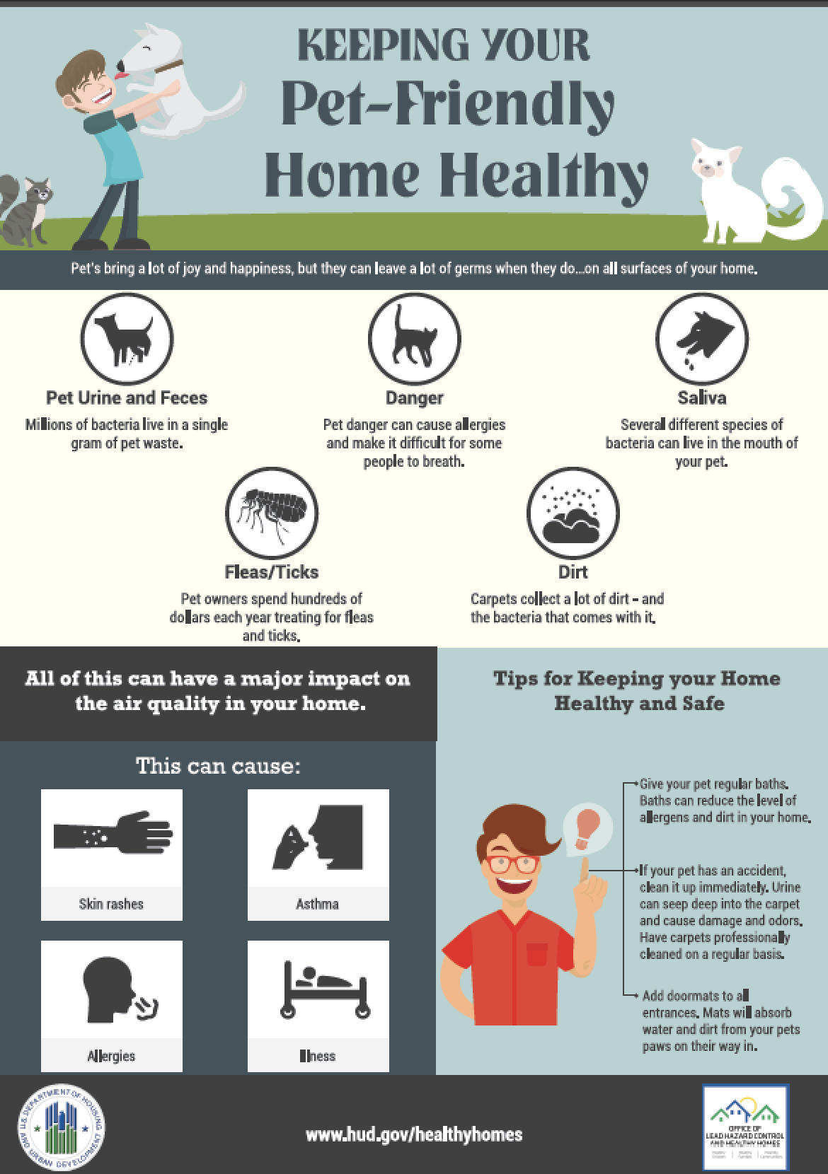 How to Make Your Home Pet-Friendly